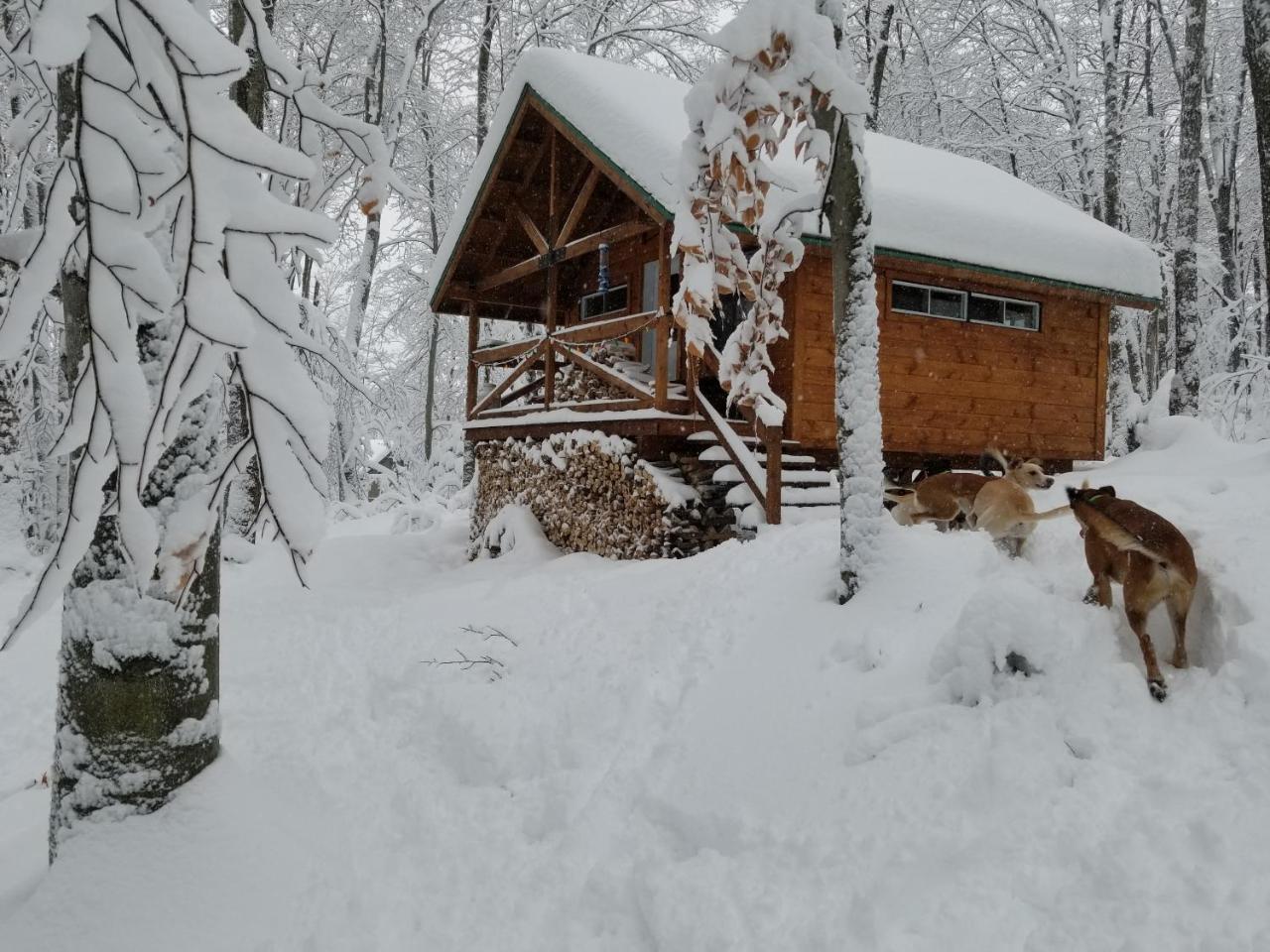 Saint-Jean-des PilesLes Cabines Nordik Des Piles别墅 外观 照片