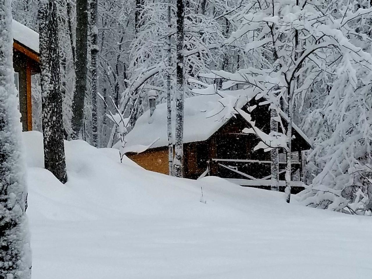 Saint-Jean-des PilesLes Cabines Nordik Des Piles别墅 外观 照片