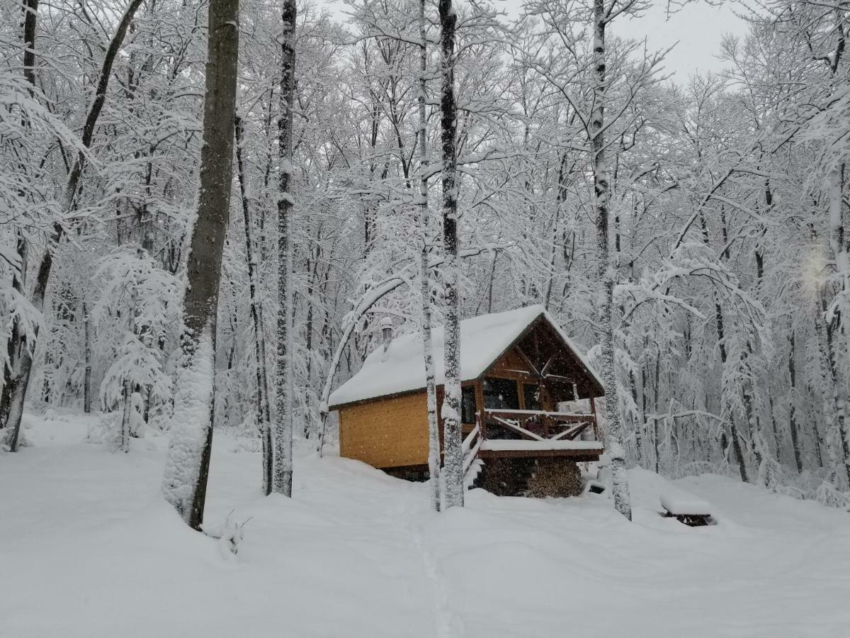 Saint-Jean-des PilesLes Cabines Nordik Des Piles别墅 外观 照片