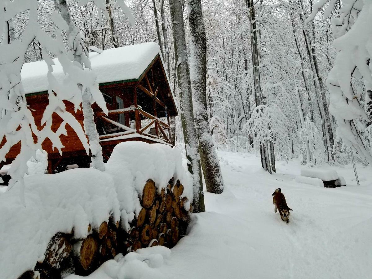Saint-Jean-des PilesLes Cabines Nordik Des Piles别墅 外观 照片