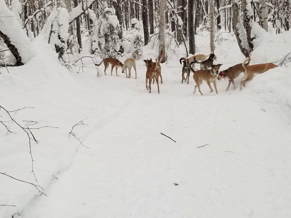 Saint-Jean-des PilesLes Cabines Nordik Des Piles别墅 外观 照片